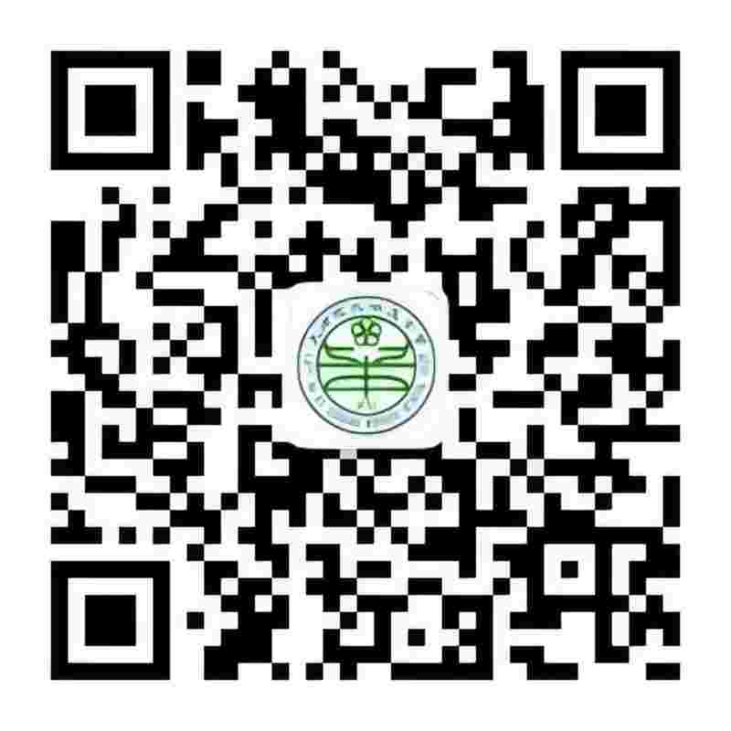 乐球吧