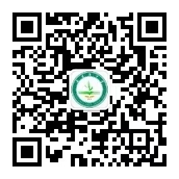 乐球吧
