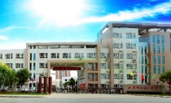 乐球吧