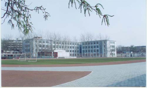 乐球吧