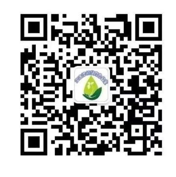 乐球吧