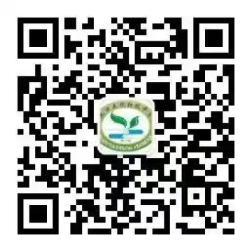 乐球吧
