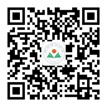 乐球吧