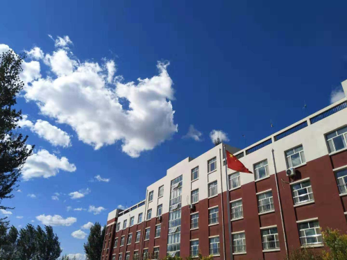 乐球吧