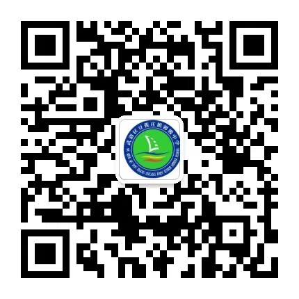 乐球吧