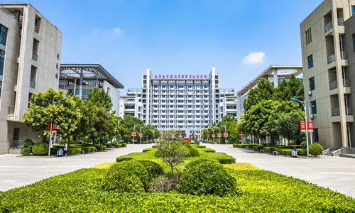 乐球吧