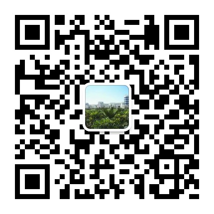 乐球吧