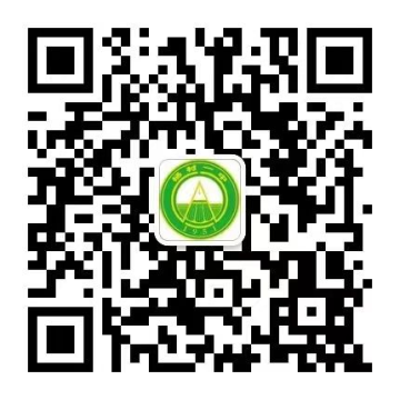 乐球吧