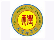 乐球吧
