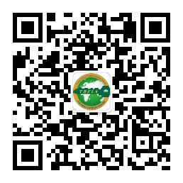 乐球吧