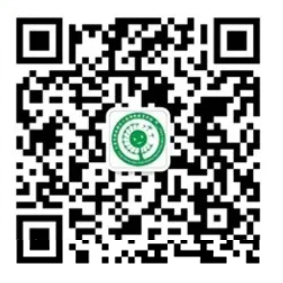 乐球吧