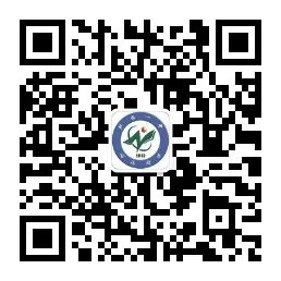 乐球吧