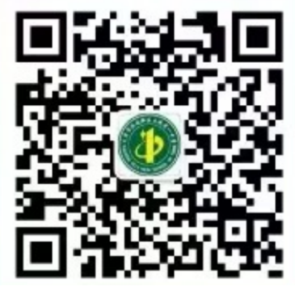 乐球吧