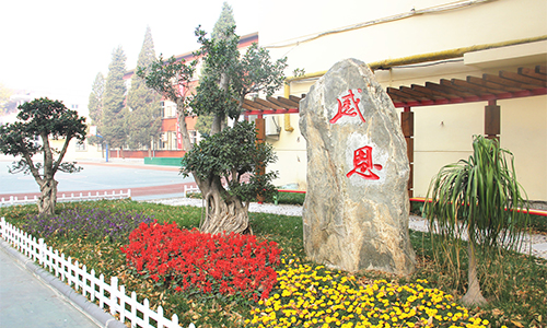 乐球吧