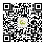 乐球吧