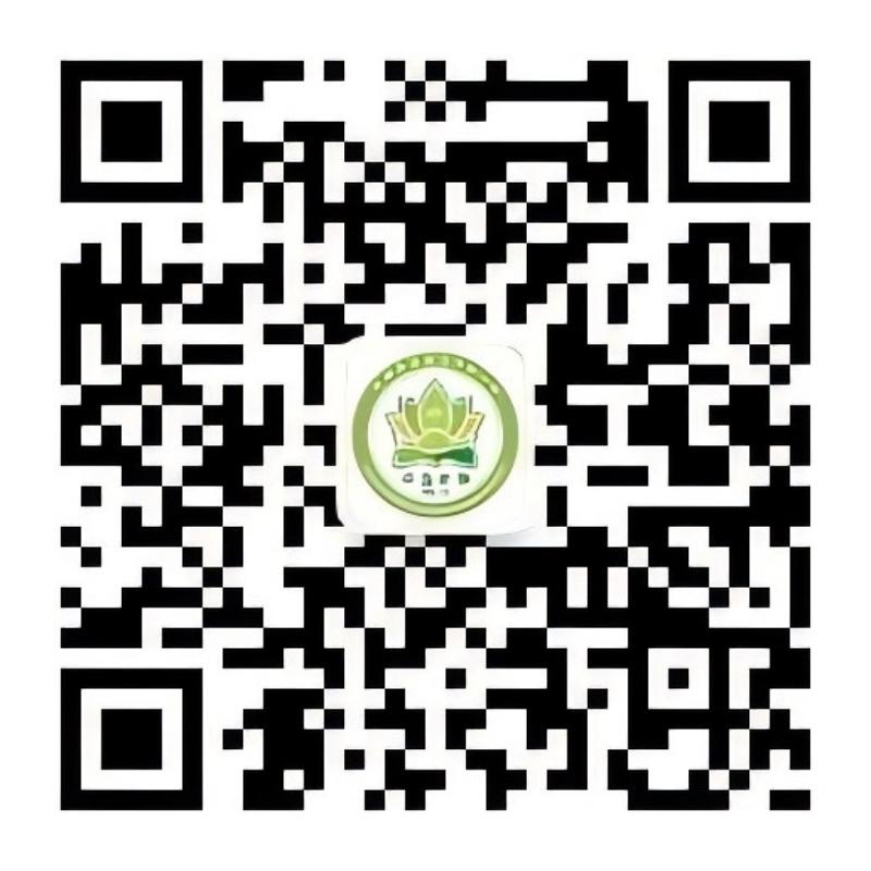 乐球吧