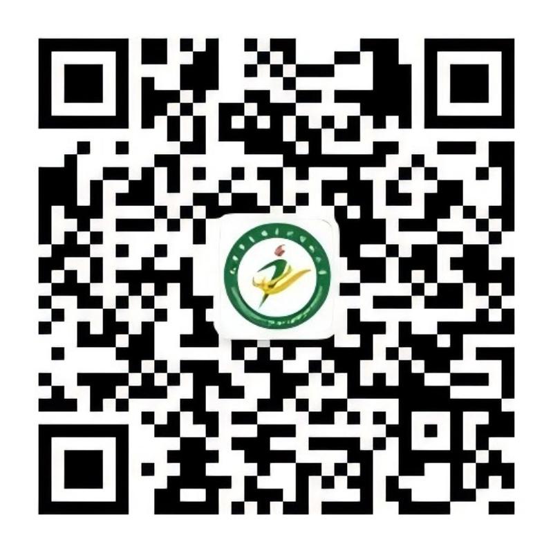 乐球吧