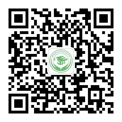 乐球吧