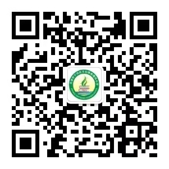 乐球吧