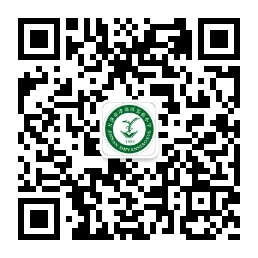乐球吧