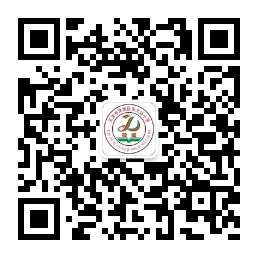 乐球吧