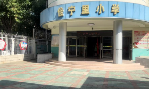 乐球吧