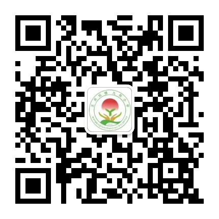 乐球吧
