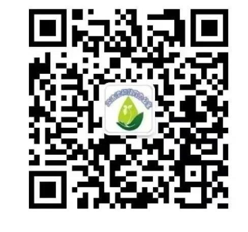 乐球吧