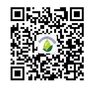 乐球吧