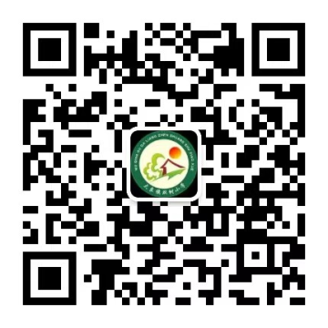 乐球吧