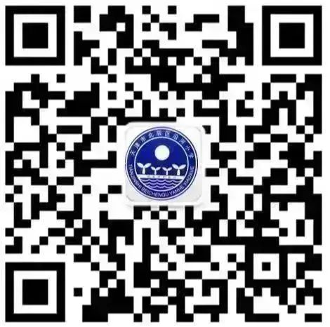 乐球吧
