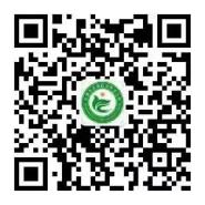 乐球吧