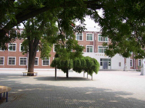 乐球吧
