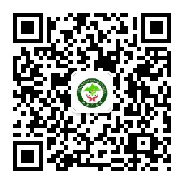 乐球吧
