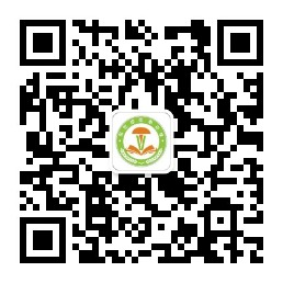 乐球吧