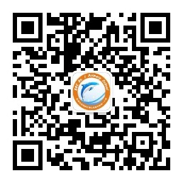 乐球吧