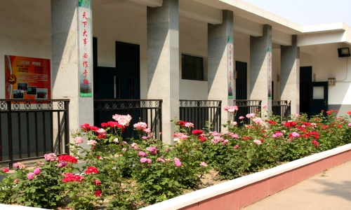乐球吧