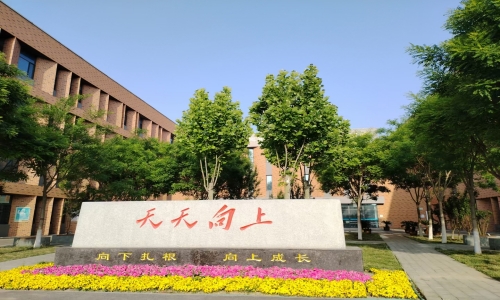 乐球吧