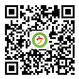 乐球吧