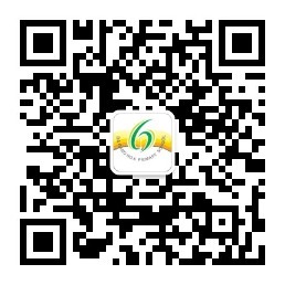 乐球吧