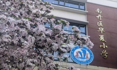 乐球吧