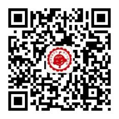 乐球吧