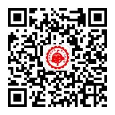 乐球吧