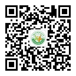 乐球吧