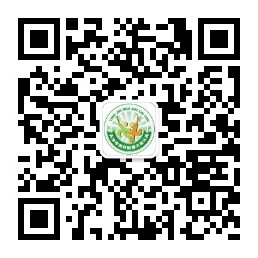 乐球吧