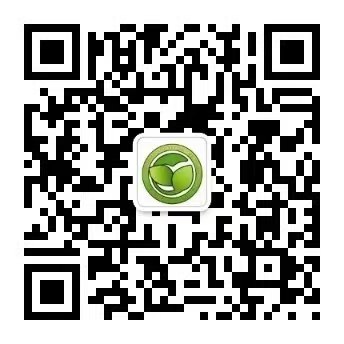 乐球吧