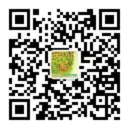 乐球吧