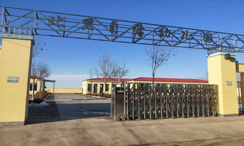 乐球吧