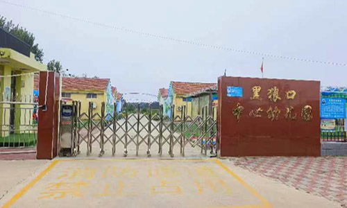 乐球吧