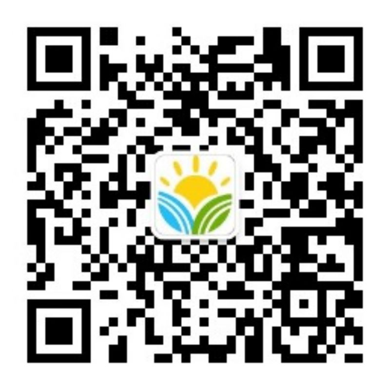 乐球吧